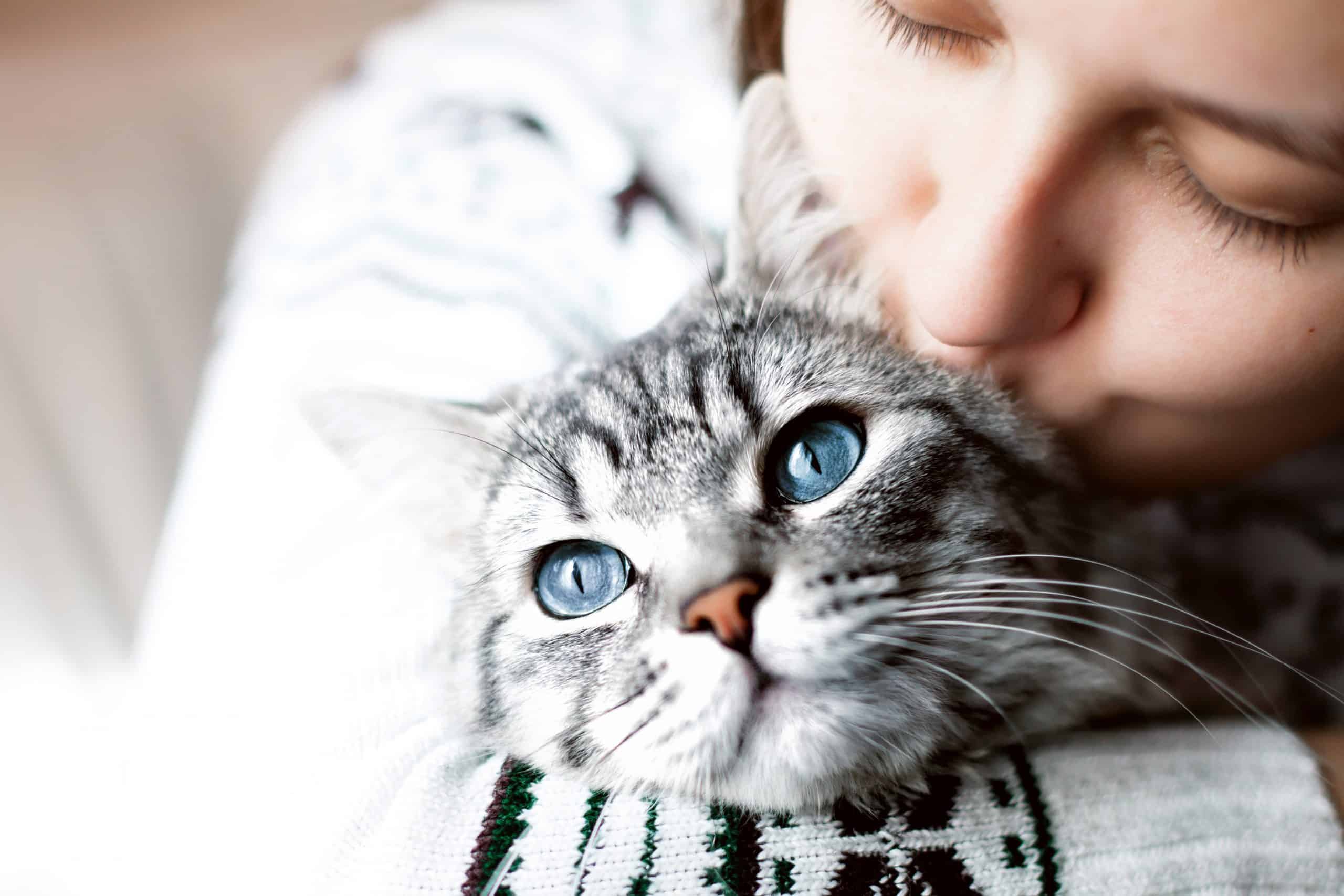 woman-home-kissing-her-lovely-fluffy-cat-scaled.jpg__PID:6d82b68a-158a-4351-aa80-0af12bc036de